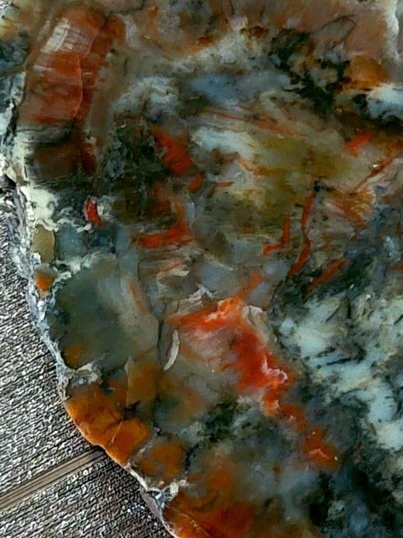 化石『恐竜の糞化石』コプロライト 希少 標本 稀石 生痕 草食恐竜 瑪瑙化 天然