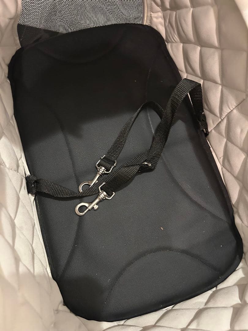 エアバギー　ペットカート　wiz Xペットキャリー