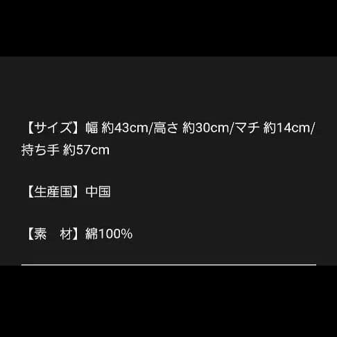 【新品•未開封】BMSG FES'24 ワッペントートバッグ