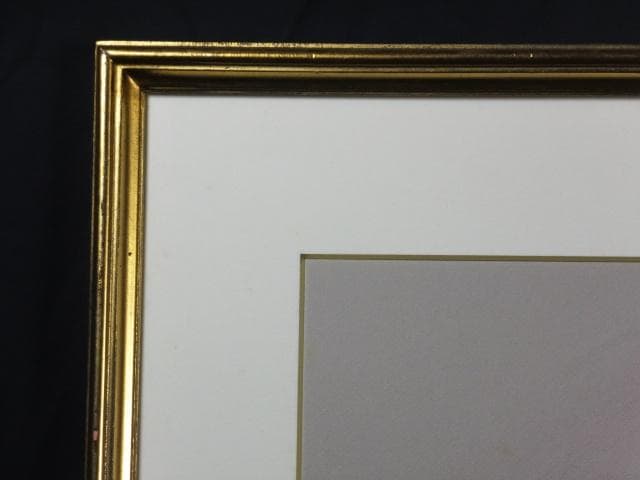 徳田宏行　直筆サイン『花のコスチューム』ペーパーにパステル画 20号 0907G