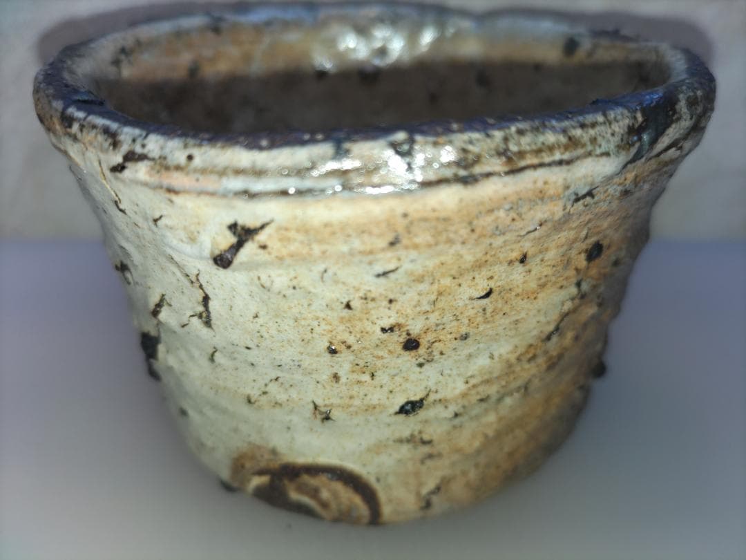 中川自然坊 湯飲み ①