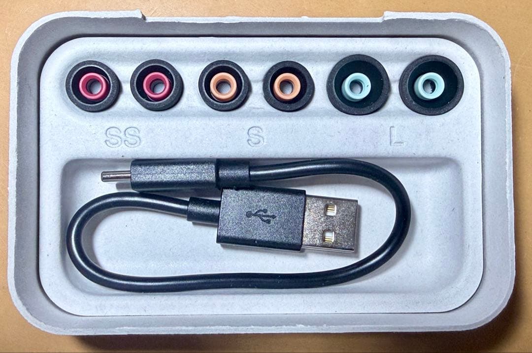 イヤホン WF-1000XM5