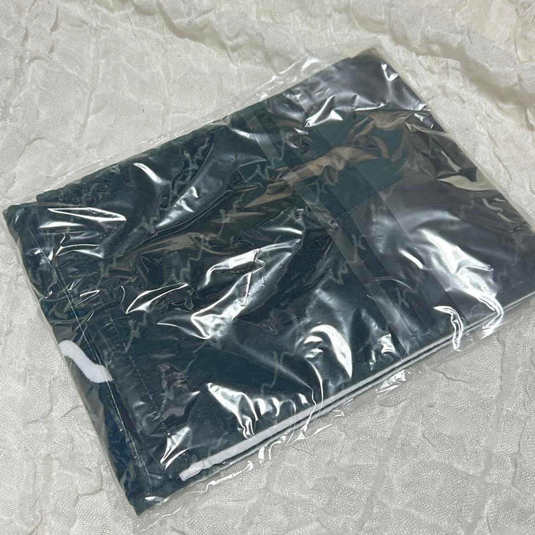 みなみちゃん 限定ライブ マフラータオル