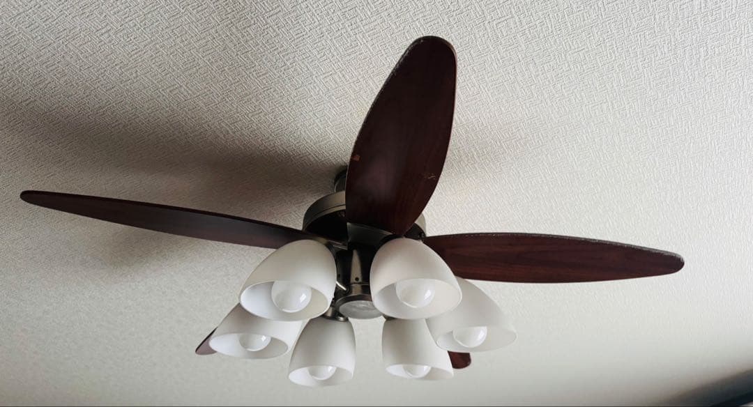 直接引き取り　シーリングファン 電球なし　ダークウッド 6灯
