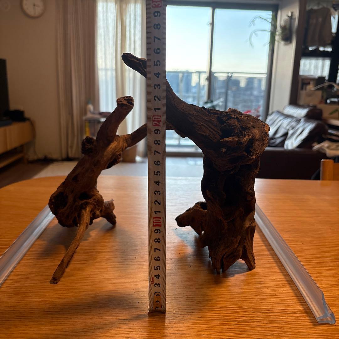 【早い者勝ち】ADA流木3本、他流木2本