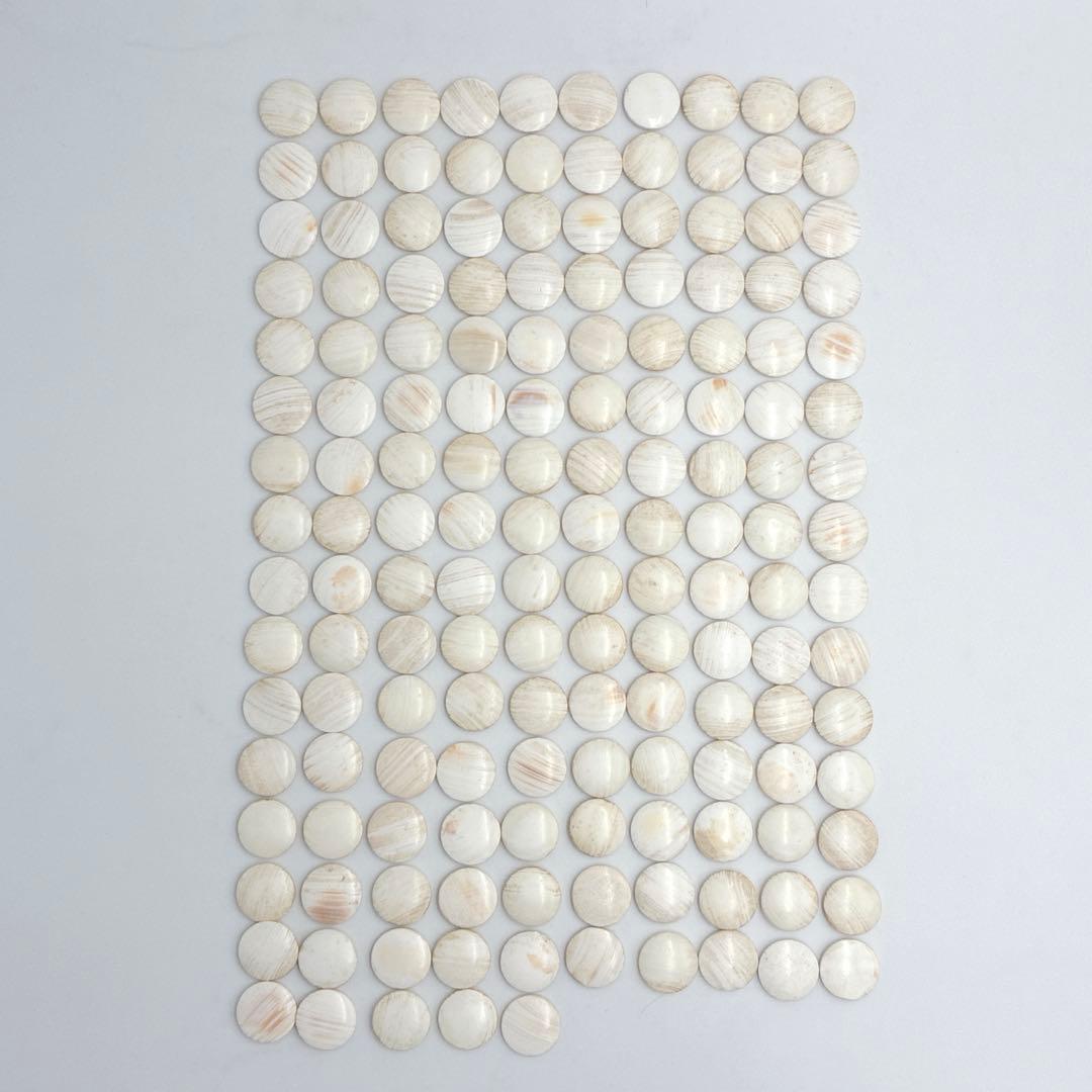 【希少】本蛤（はまぐり）碁石 20号 21号 薄型 和囲碁 石 白石 黒石