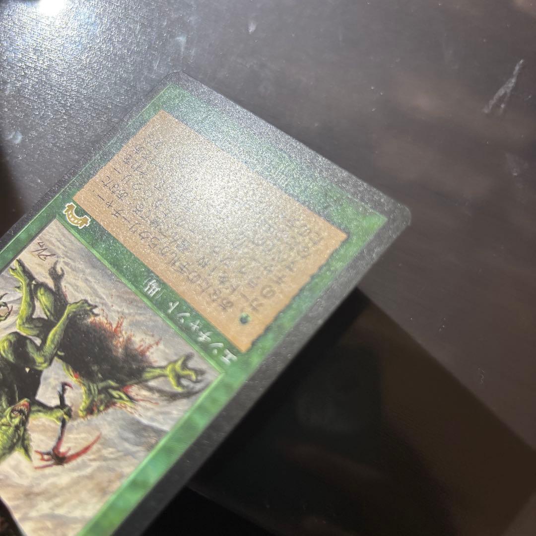 【MTG-EXO】適者生存