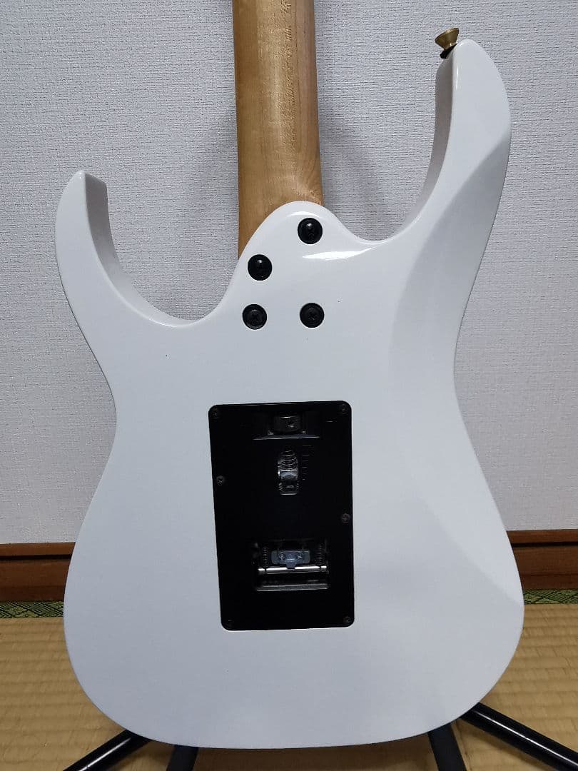 Ibanez RG350DXZ 調整済 ソフトケース付 GT専用ダンボール発送