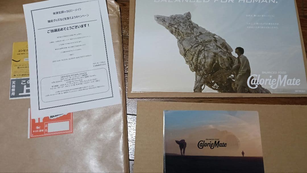 米津玄師 カロリーメイト ポスター、クリアファイル