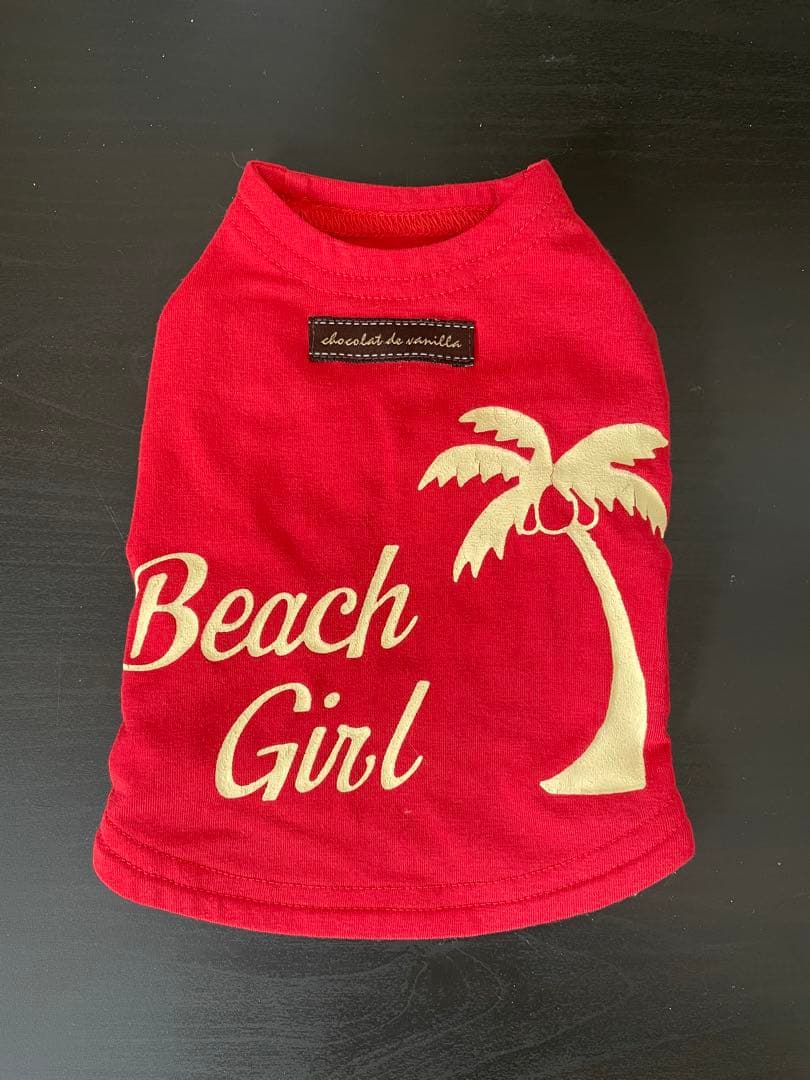 アトリエgg サンセットビーチガール　Tシャツ　サイズ18