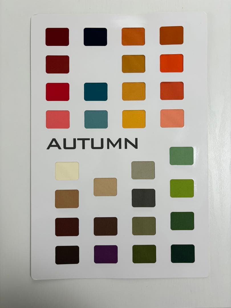 【超特価】パーソナルカラー診断用ドレープ （金銀・ミニドレープ付）