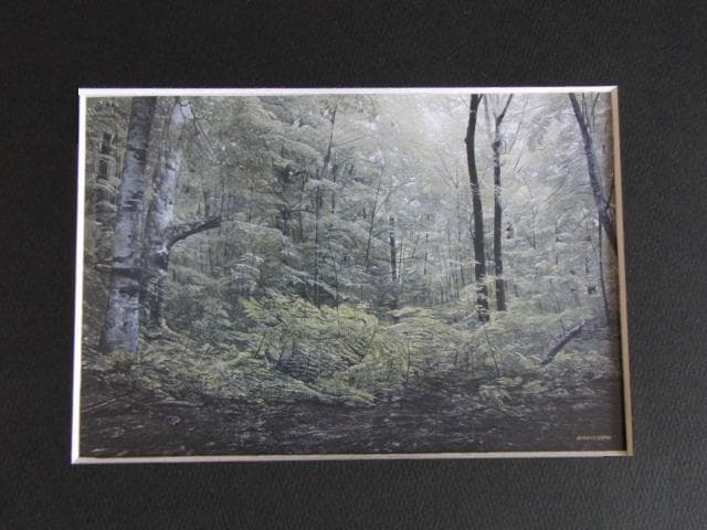 居島春生、【輝きはじめた森】、希少な額装用画集より、新品額装付