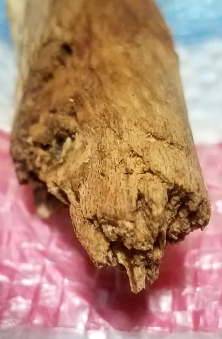 骨董品　天然　香木　伽羅原木　沈香　フィリピン