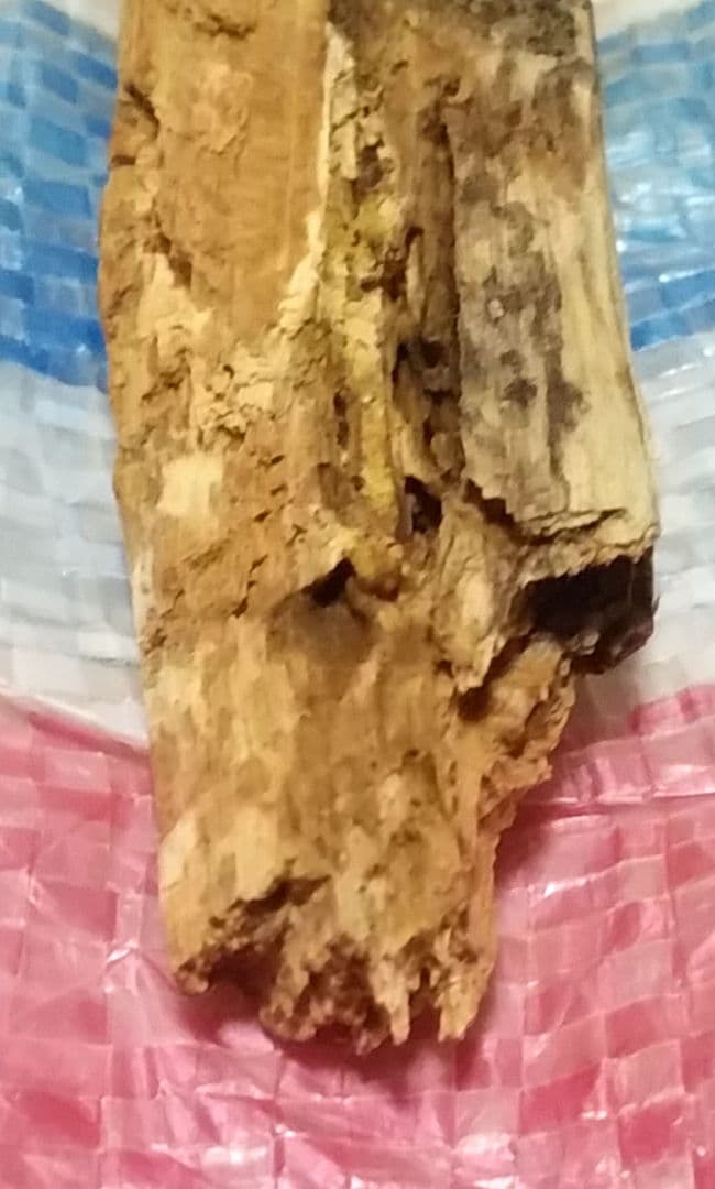 骨董品　天然　香木　伽羅原木　沈香　フィリピン