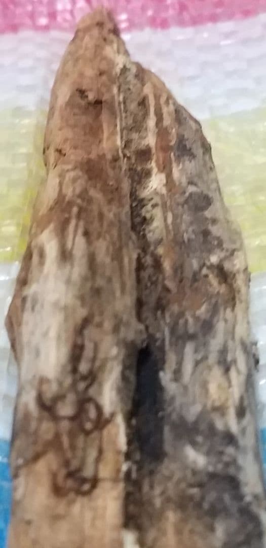 骨董品　天然　香木　伽羅原木　沈香　フィリピン