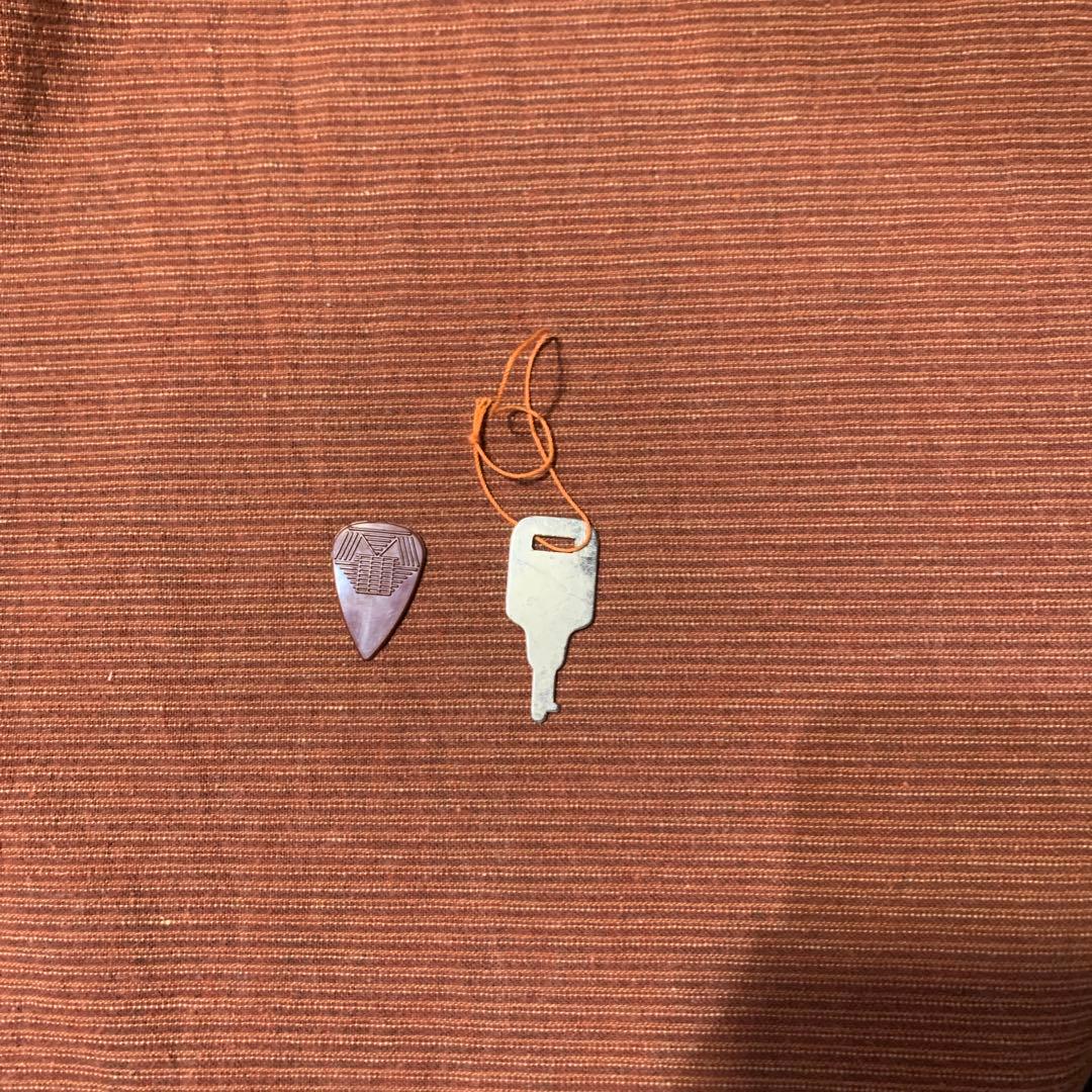 【美品】 8弦交換済　SUZUKI M-50 マンドリン ハードケース付き