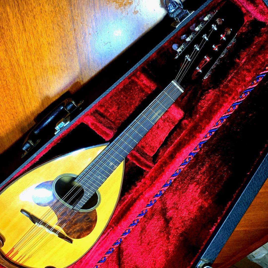 【美品】 8弦交換済　SUZUKI M-50 マンドリン ハードケース付き