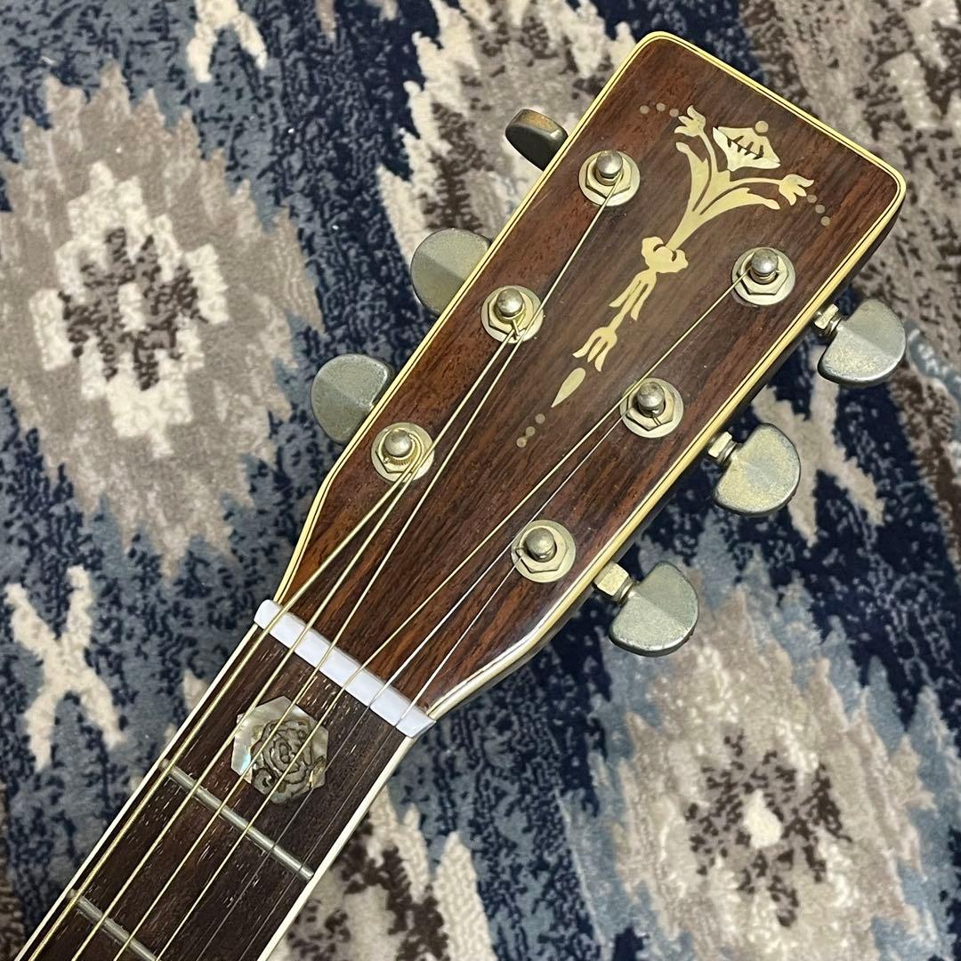 Rider R-500D Martin D-45風 Headway Momose