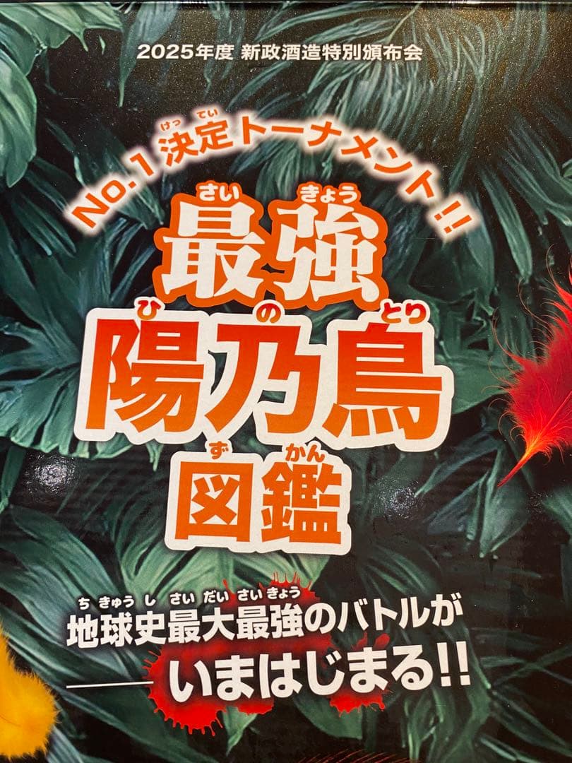 新政頒布会　2025陽乃鳥