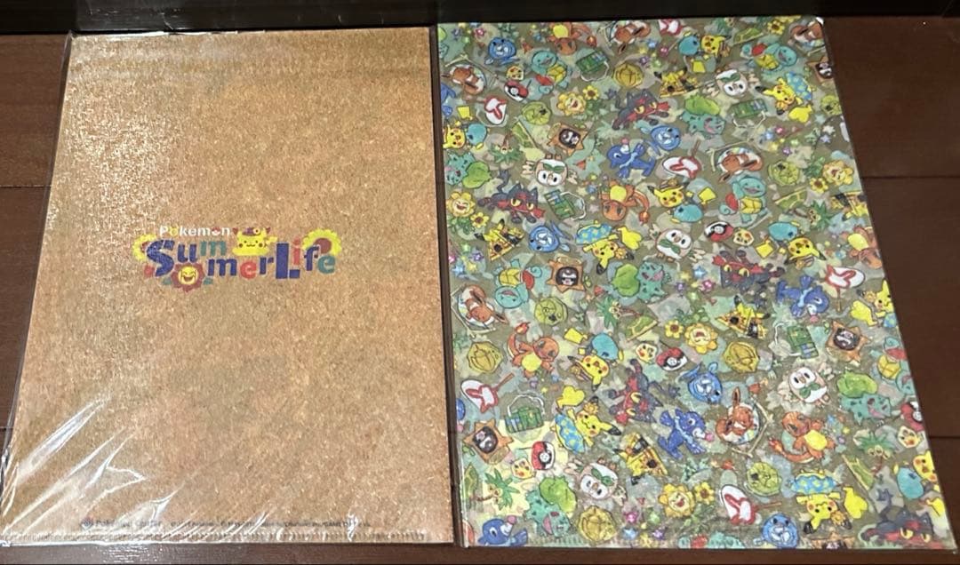 ポケモン　Pokémon Summer Life A4クリアファイル2枚セット