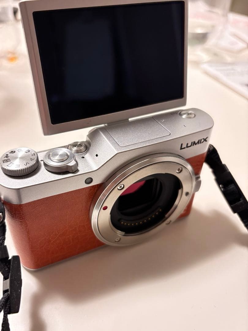 デジタルカメラ LUMIX DC-GF9W