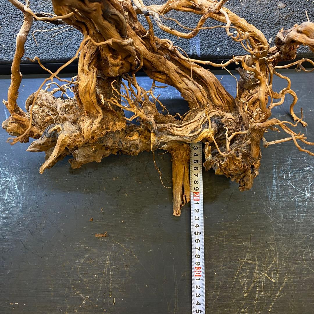 MTW-6356 蔦流木1点物　90cm水槽用流木　アクアリウム