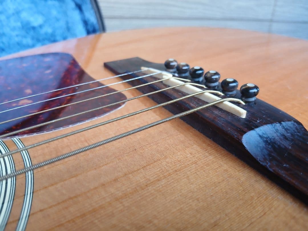 Takamine アコースティックギター(HC/ PU付)