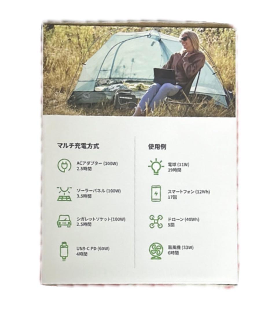 ヨシノ　B300 SST 固定電池　ポータブル電源