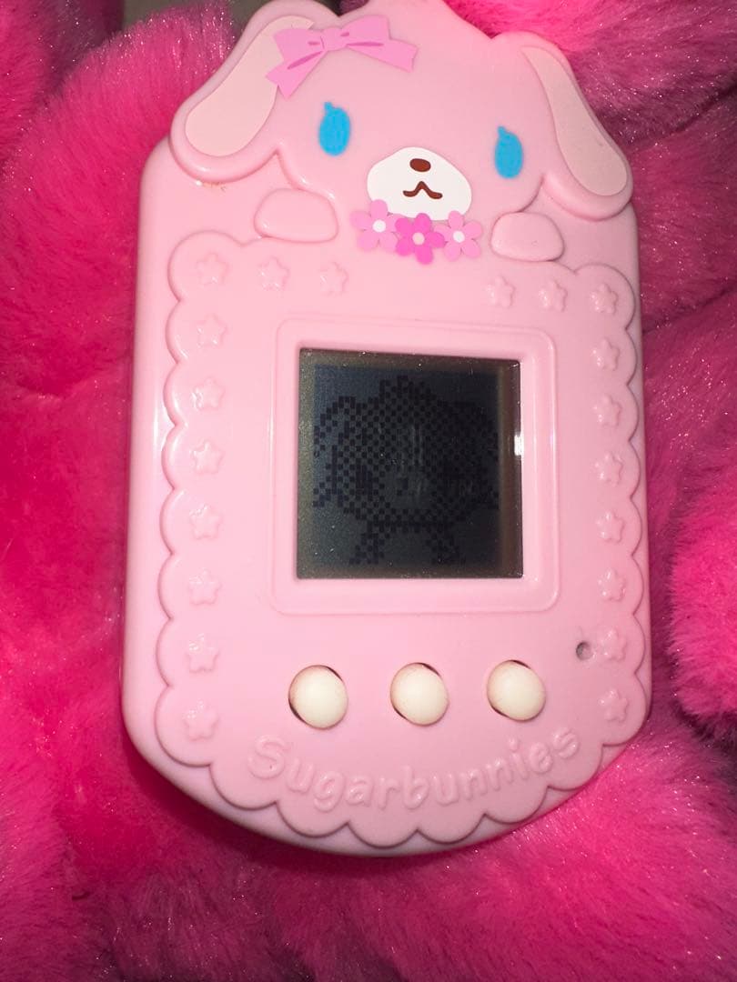 激レア！Sugarbunnies シュガーバニーズ はなうさ