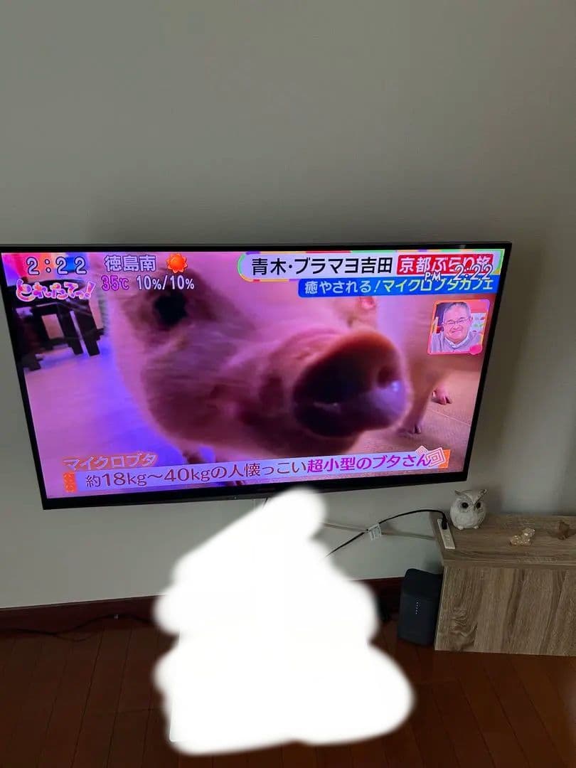 大セール！【中古】TOSHIBA 　東芝　テレビ　大型　42インチ　13年製