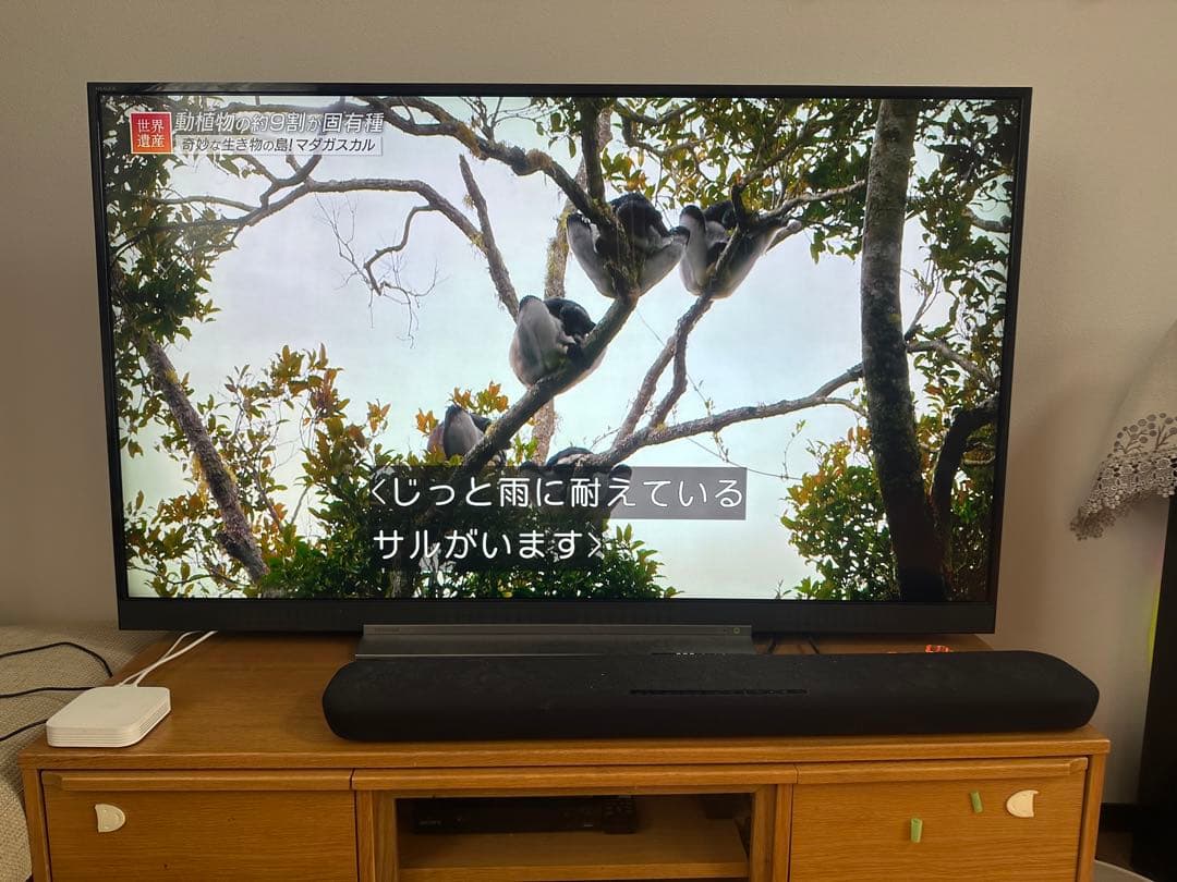 【美品】TOSHIBA液晶テレビ　55BZ710X