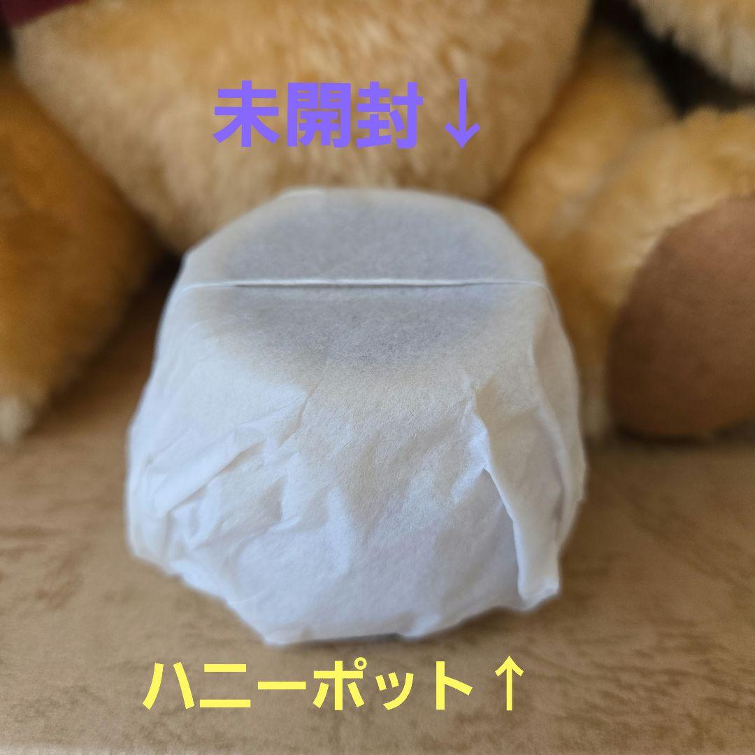 【限定1000体】ディズニーランド プーさんのハニーハント グランドオープン記念