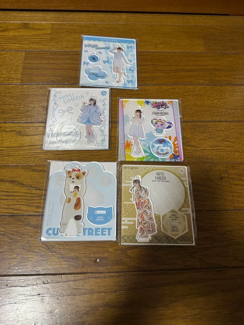 梅田みゆアクリルスタンド 13点セット