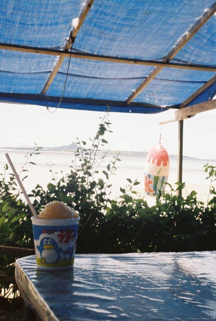 OLYMPUS PEN EED フィルムハーフカメラ