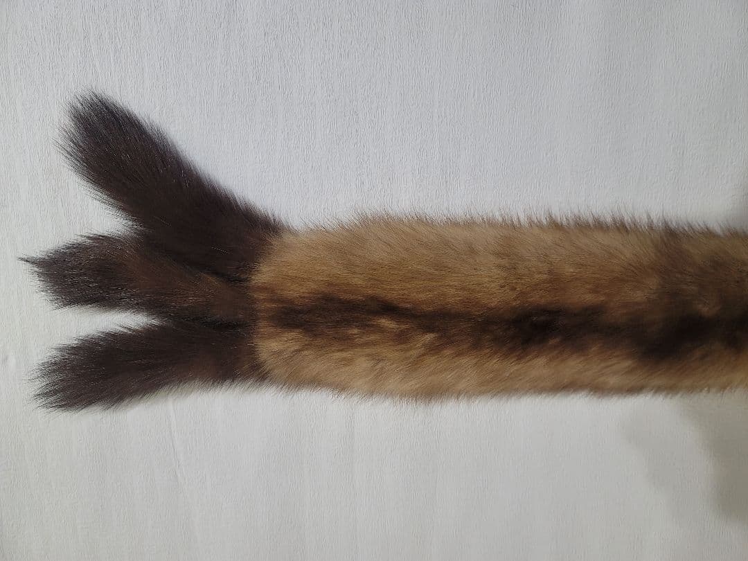 ロシアンセーブル マフラー ティペット ストール 超美品！ ゴールデンセーブル