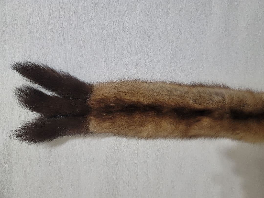 ロシアンセーブル マフラー ティペット ストール 超美品！ ゴールデンセーブル