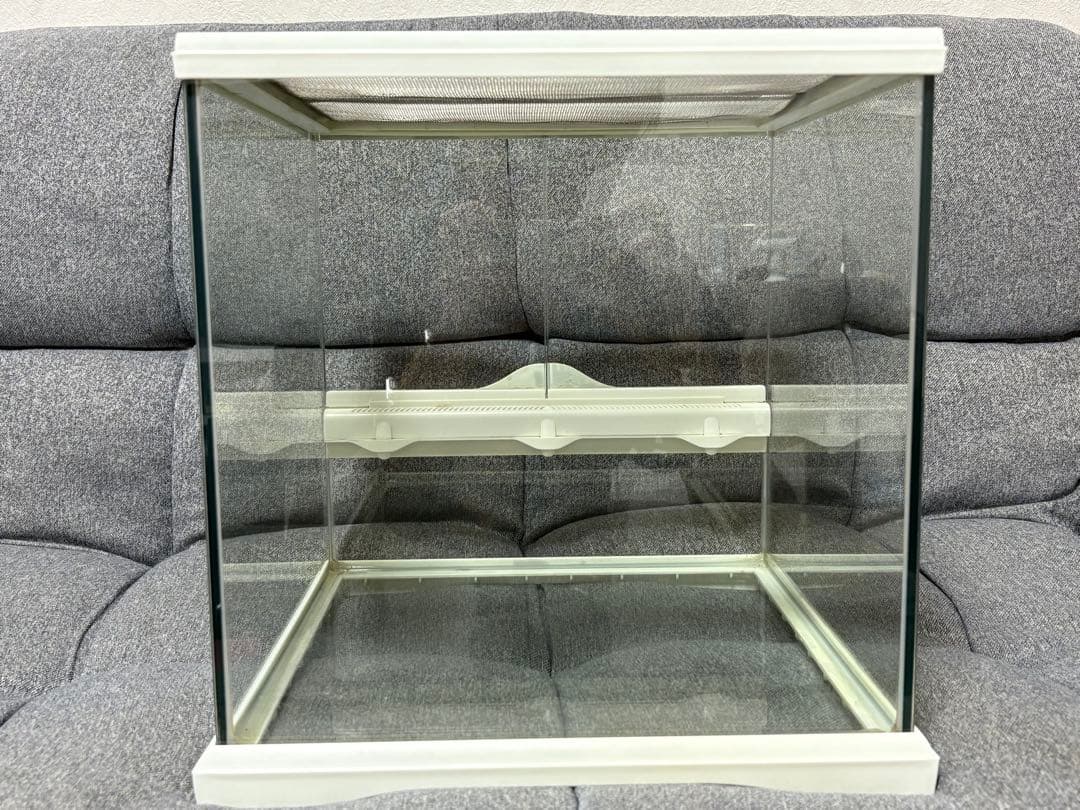 GEX グラステラリウム　30×30 ホワイト