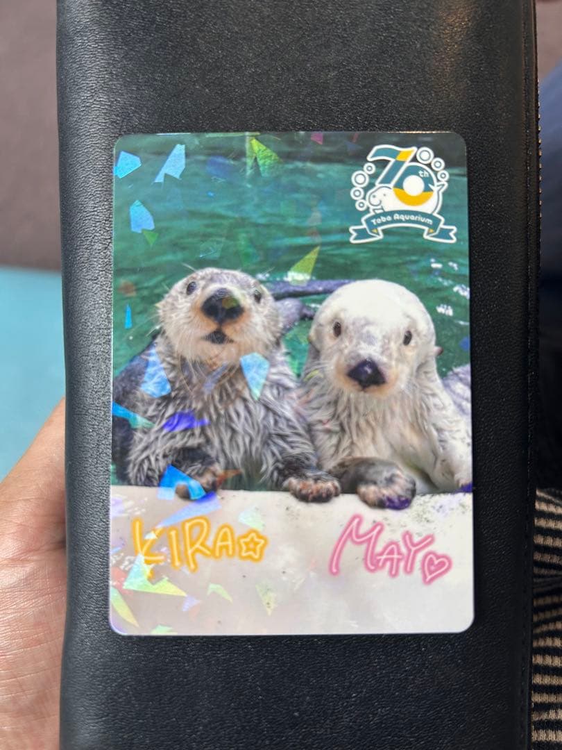 ゆ*ぴ様 【鳥羽水族館】コレクションカード　キラ・メイ（レアカード）　ラッコ　ホ