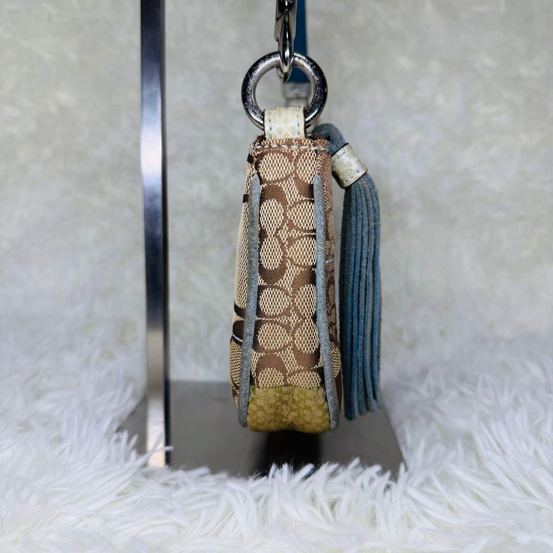 希少 COACH コーチ アクセサリーポーチ エキゾチック ハンドバッグ