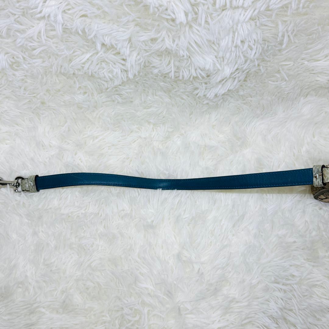 希少 COACH コーチ アクセサリーポーチ エキゾチック ハンドバッグ