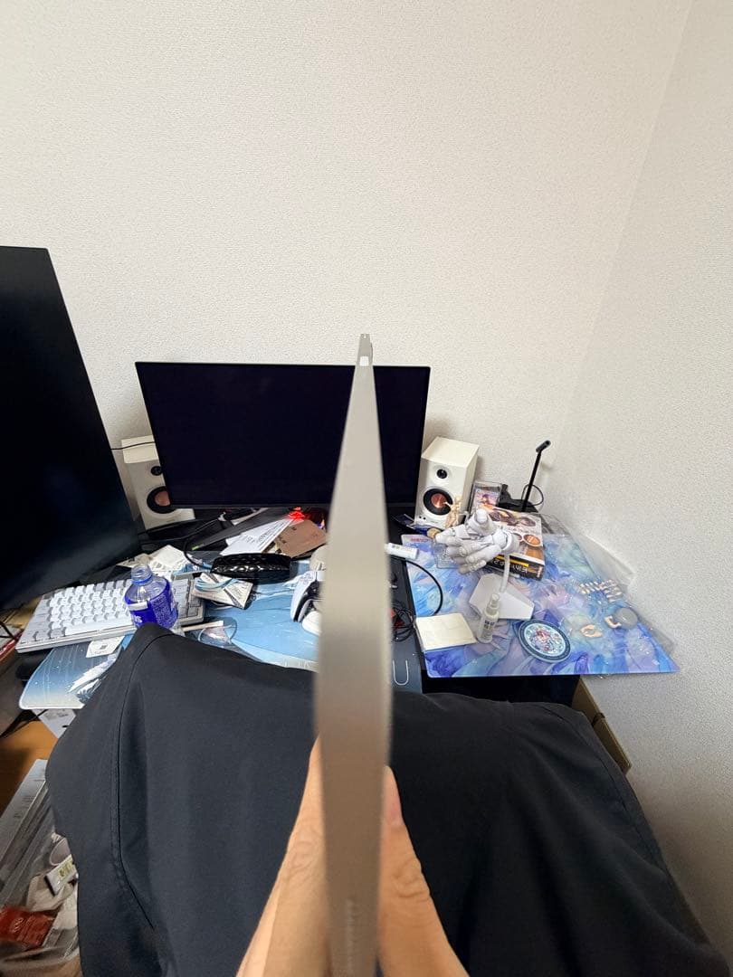 iPad Pro 12.9インチ　第6世代　M2 256GBシルバー