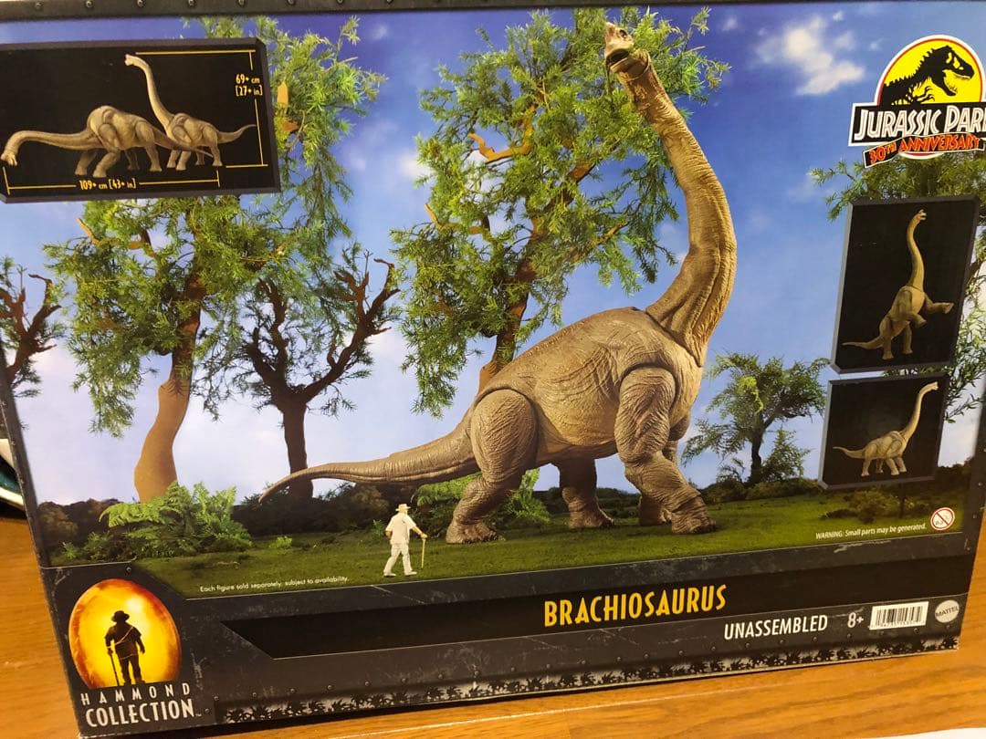ハモンドコレクションブラキオサウルス