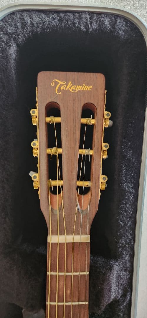 Takamineギター PTU408K