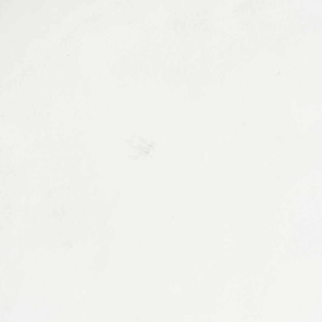 straykids スキズ SKZOO パピーム スンミン 直筆サイン ポスター