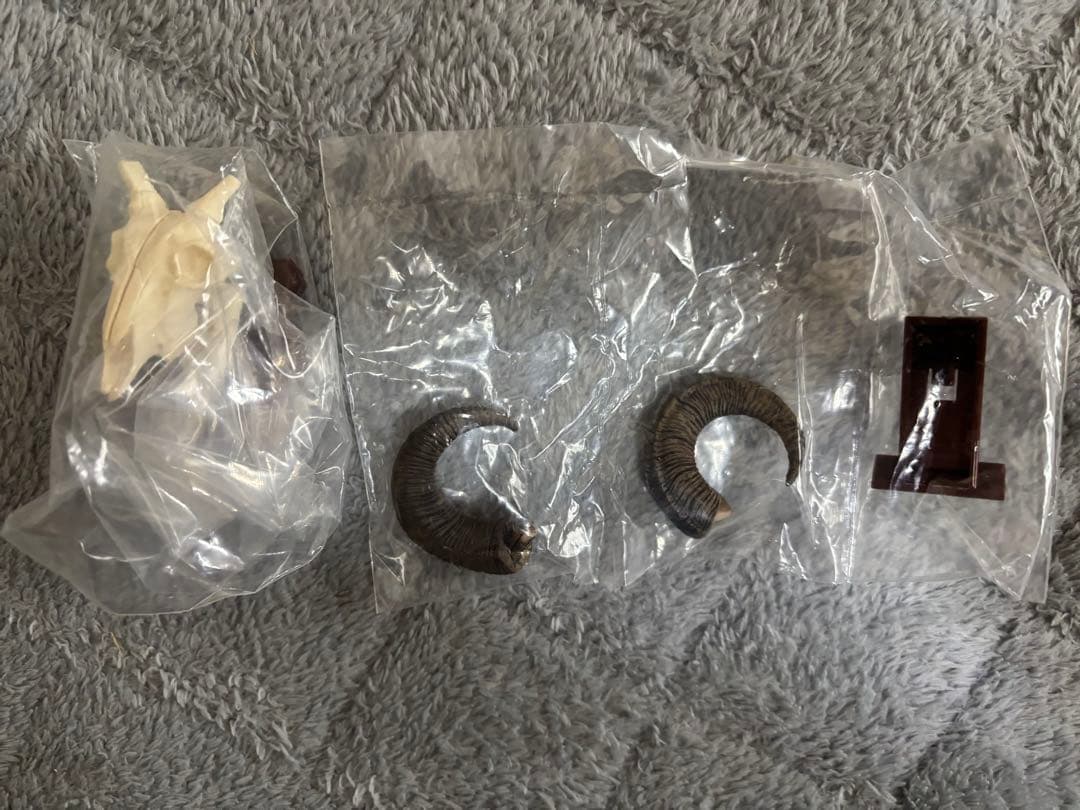 ハンティングトロフィー　シークレット　エゾシカ　ヘラジカ　ドールシープ　骨格標本