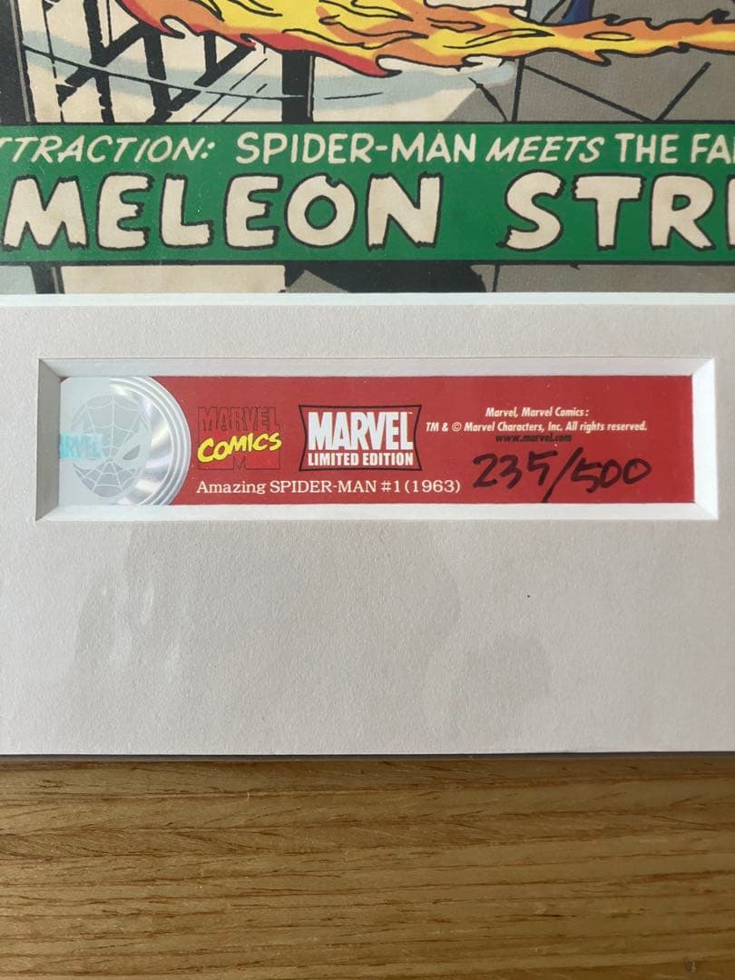 【即購入OK】Amazingスパイダーマン全世界500部限定 アートプリント