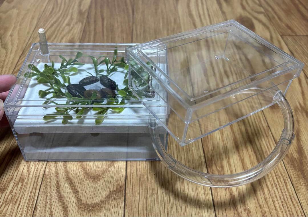 アリの石膏巣 試作品