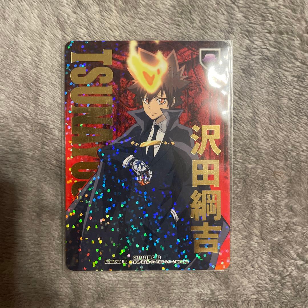 家庭教師ヒットマンREBORN!CCG沢田綱吉