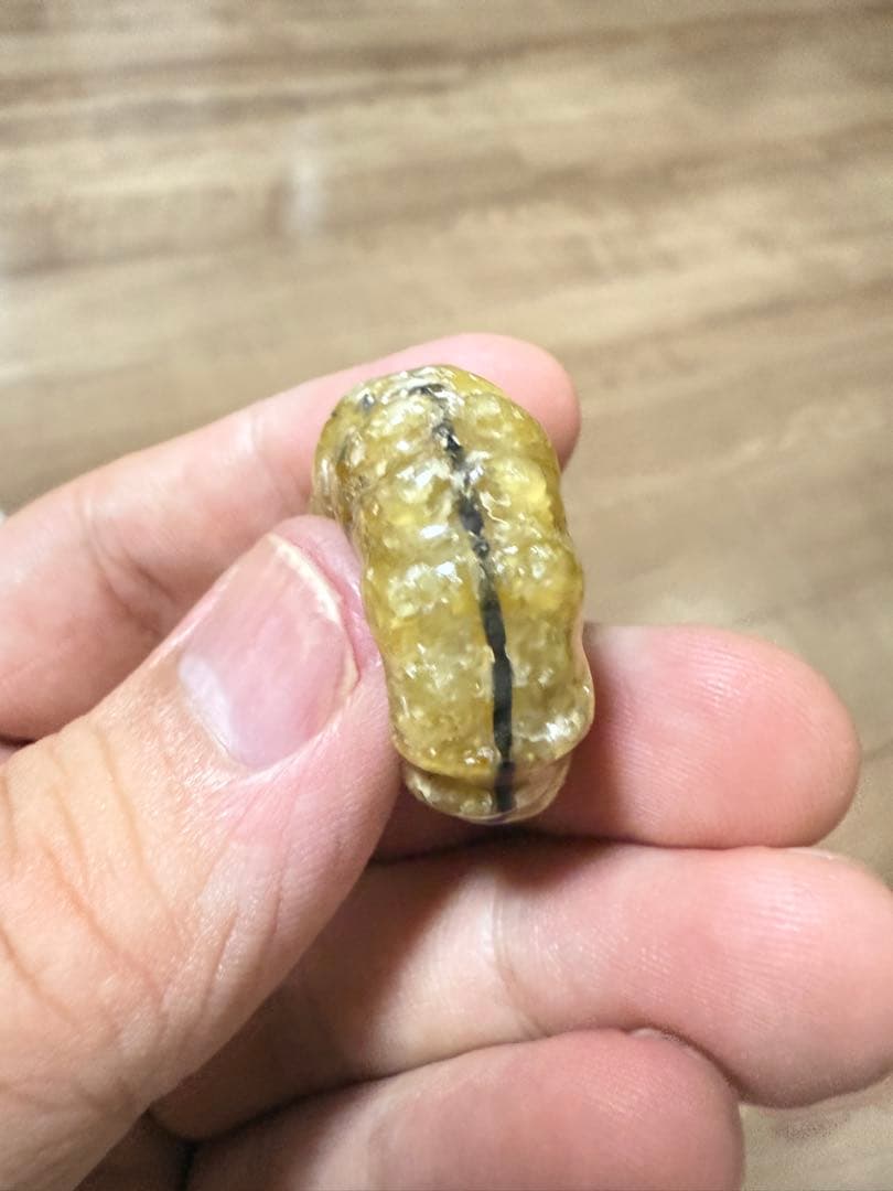 極美品マダガスカルのアンモナイト化石　2点セット　本物保証　希少な共生 送料無料