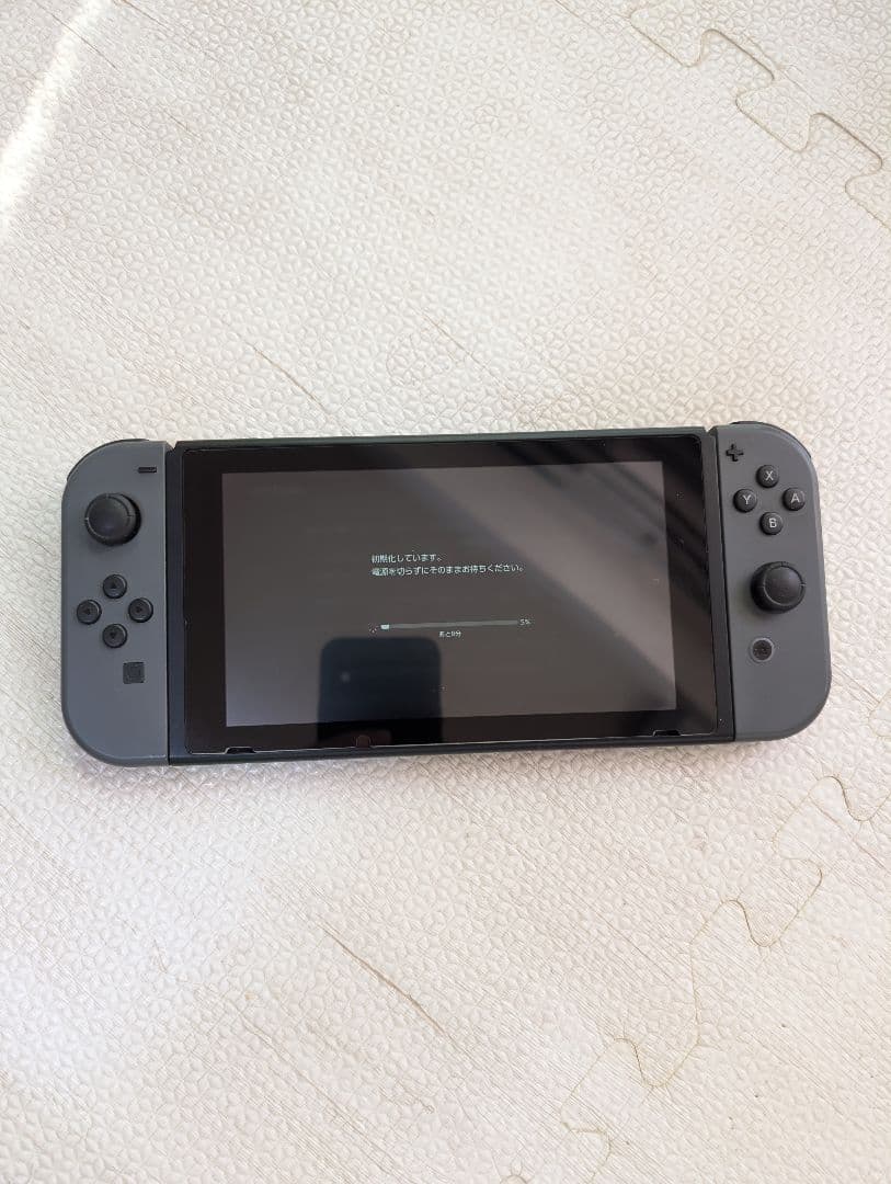 Nintendo Switch 本体とケースセット